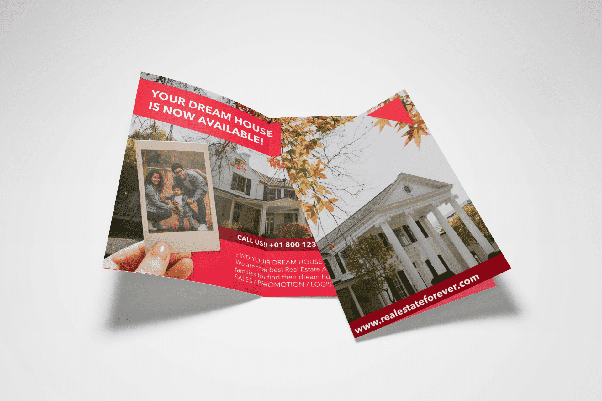 Trifold Brochure Printing with Free Shipping on All Orders